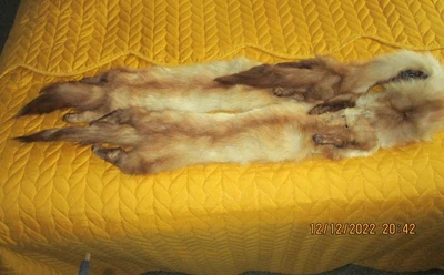£30 • Buy Ladies Antique Fox Fur Stole Produced By James Wadsworth In 1915