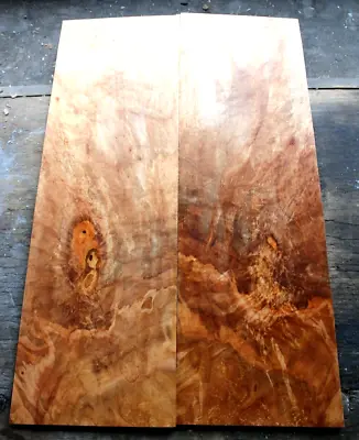 5a Curly Spalted Ambrosia Flame Maple Drop Top .29 Thk Guitar Bass Tonewood 2251 • $69.99