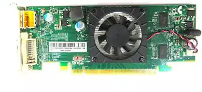 AMD Radeon HD7450 1GB DDR3 DP DVI - Free Shipping • $34.99