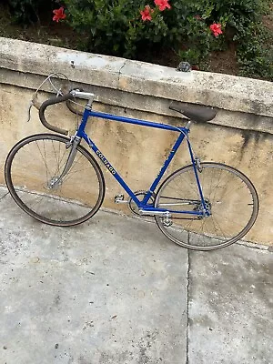 Vintage Colnago Mexico Road Bike 60 Cm Campagnolo Components • $1750