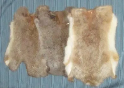 Rabbit Pelt - Genuine Leather Fur - Brown Color - • $13