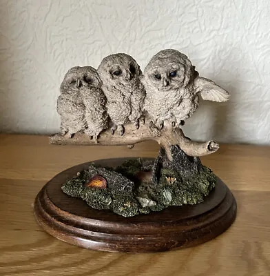 Vintage - Country Artists  - Baby Owlets  - Ca356 • £7.99