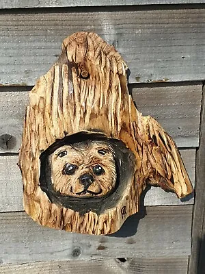 Chainsaw Carving Of An Bear Looking Out Of An Hole  • £24.99