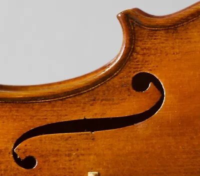 Very Old Vintage 4/4 Violin Geige Viola Cello Labeled GAETANO GADDA Nr. 251 • $410.64