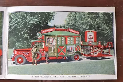 Budweiser Beer Anheuser-busch St. Louis Mo. Big Tom Ox  Tri-fold Postcard 1910 • $24.99