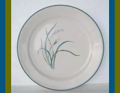 Corelle COASTAL BREEZE Sandstone 9  LUNCH Salad PLATE *Flat Rim Ocean Blue Green • $8.09