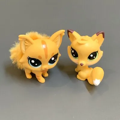 £5.40 • Buy Littlest Pet Shop LPS Flufftail Maine Coon Cat Fuzzy Tail #79 & Dog HTF Kids Toy