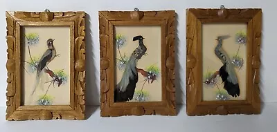 Vintage Mexican Folk Art Feathercraft Bird Pictures - Set Of 3 Wood Frame (F3) • $35