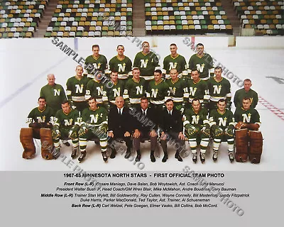 1967-68 Minnesota North Stars First Inaugural 8x10 Color Team Photo  • $5.57