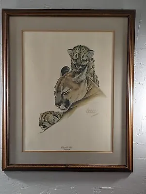 Vintage Cougar And Cubs By Guy Coheleach Matted Framed Signed • $85