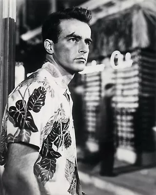 Montgomery Clift 8x10 Glossy Photo Picture Image #4 • $3.99