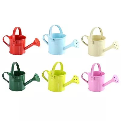 Large Capacity Metal Watering Can For Garden Plants With Long Mouth Design • £5.94