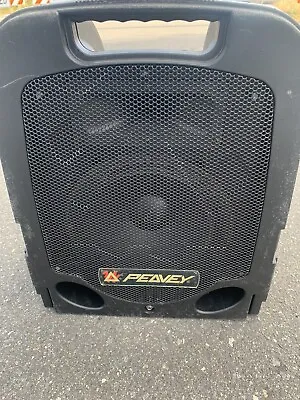 Peavey 10” Woofer 2-Way Speaker Black  18  Tall For Parts  Only For Guitar • $119.99
