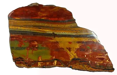 10  Bright Maroongold & Navy Blue Tiger Eye Marra Mamba Stromatolite Australia • $370