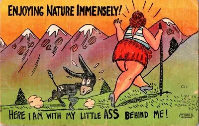 Vintage COMIC POSTCARD C1930-50s Enjoying Nature With My Little Ass • $3.99