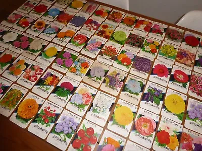 100 Diff Vintage Seed Packet Lot 1930s-1970s Flowers Garden Texas General Store  • £85.47