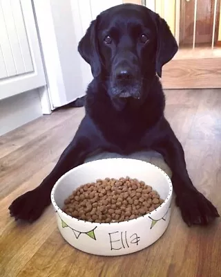£20.99 • Buy Large Dog Food Bowl Hand Painted Personalised Ceramic Dog Bowl 25cm Dog Bowl