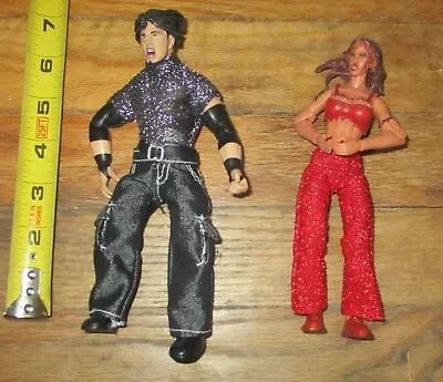 WWF WWE Jakks Lita Matt Hardy Boyz TTL Finishing Moves Wrestling Figure AEW ROH • $27.99