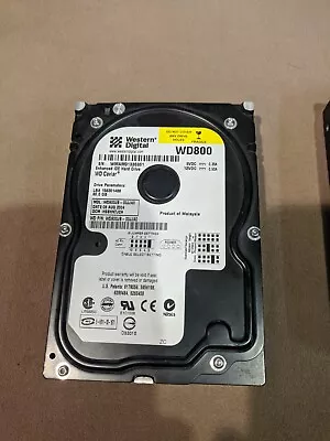 Western Digital WD 800 80 Gb IDE Hard Drive • $20