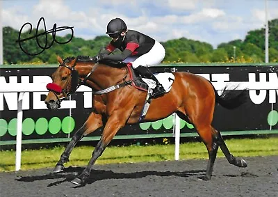 Horse Racing - Grace McEntee - Hand Signed A4 Photograph - COA • £15