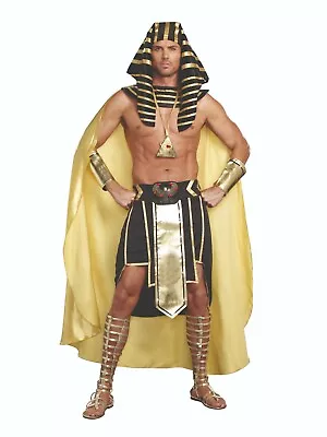 Dreamgirl King Of Egypt King Tut Adult Men Costume • $35.99