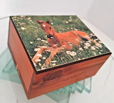 Vintage Cedar 5 Trinket Box W/Deer Fawn/GrassPlatte River Michigan Sweet EUC! • $31