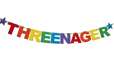 Threenager Bunting 3rd Birthday Personalised Party Decoration Banner • £7.29