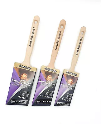 Arroworthy Rembrandt Synthetic Angled Paint Brushes - All Sizes - Semi Oval • £16.95