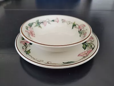 Villeroy & Boch  Palermo  Ceramic Plate & Bowl Set • $16