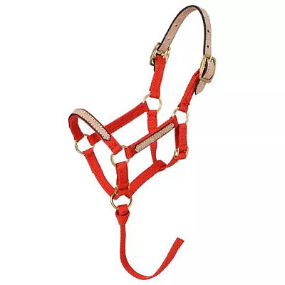 Tough1 Miniature Breakaway Halter • $12.99