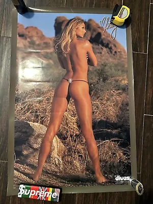 Vintage Official WWF WWE 2003 Divas Poster  Stacy Keibler 24x36 RARE • $325