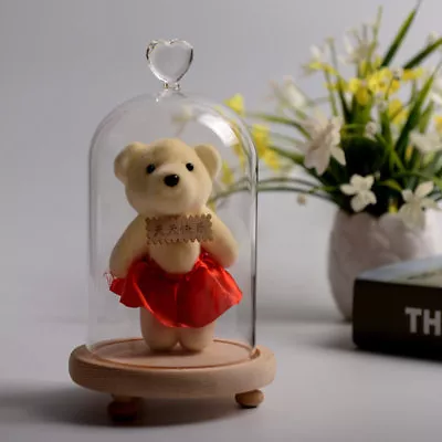 £8.95 • Buy Small Large Clear Glass Display Dome Bell Jar Cloche Immortal Preservation Stand