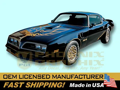 1976 1977 1978 Pontiac Firebird Trans Am Special Edition Bandit Decals & Stripes • $379