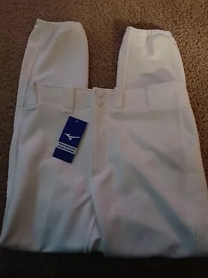 Mizuno- Youth Baseball Performance Pants New/tags-padding-white-xx-large • $25