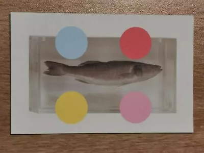 Damien Hirst Spot Design Card Quay Cafe Ilfracombe Devon Other Criteria Modern • £50