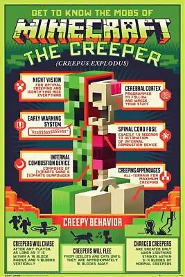 Minecraft : Creepy Behaviour - Maxi Poster 61cm X 91.5cm New And Sealed • £8.99