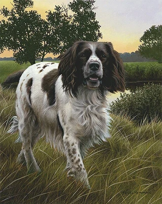 £49 • Buy Nigel Hemming SPRING WATCH Springer Spaniels, Art Canine Ltd Edition  #1