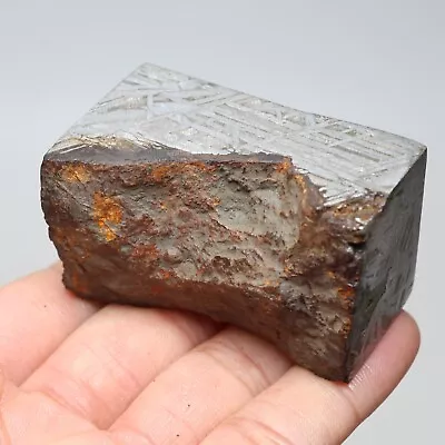 258g  Muonionalusta Meteorite Part Slice C7446 • $387