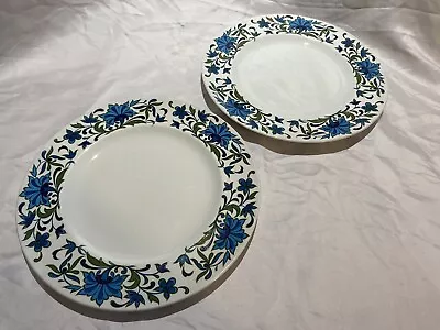 2 X Midwinter Spanish Garden Dinner Plates 10.5   • £9.99