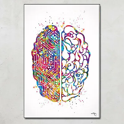 Brain Anatomy Neurology Computer Science Engineering Color Art Poster No Frame • $18.95