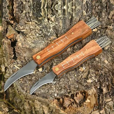 Outdoor Camping Survival EDC Mushroom Brush Folding Knife Wooden Handle • $22.50