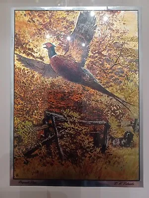 Vintage R.H Palenske  Ringneck Riser  Color Foil Etched Print Framed • $12