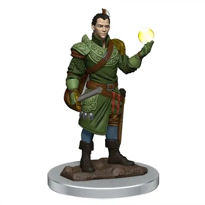 $20.95 • Buy Dungeons & Dragons Premium Male Half-Elf Bard Pre-Painted Figure