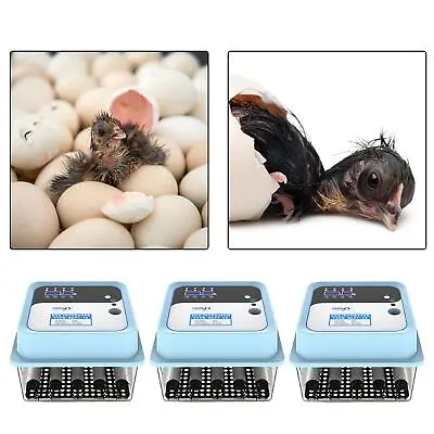£51.10 • Buy Digital Egg Incubator Automatic Turning Motor Chicken Incubator Digital Display