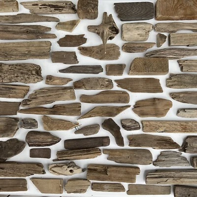 £4.99 • Buy Unique Driftwood Pieces For Crafts Nautical Display Driftwood Cottages Sea Worn