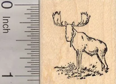 Bull Moose Rubber Stamp Eurasian Elk Small D25111 WM • $14