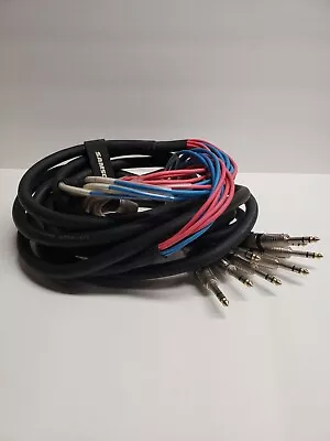 Seismic Audio 8 Channel 20' XLR Male To 1/4  TRS Snake Cable  • $35