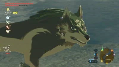 $9.99 • Buy Wolf Link Amiibo Coin Amiiqo Breath Of The Wild - NOT Figurine/statue 