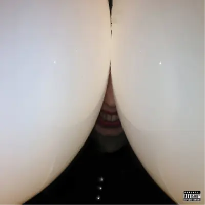 Death Grips Bottomless Pit (CD) Album • $10.62