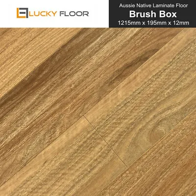 12mm Brush Box Laminate Flooring Floating Timber Floor Boards Floors Click DIY • $17.99